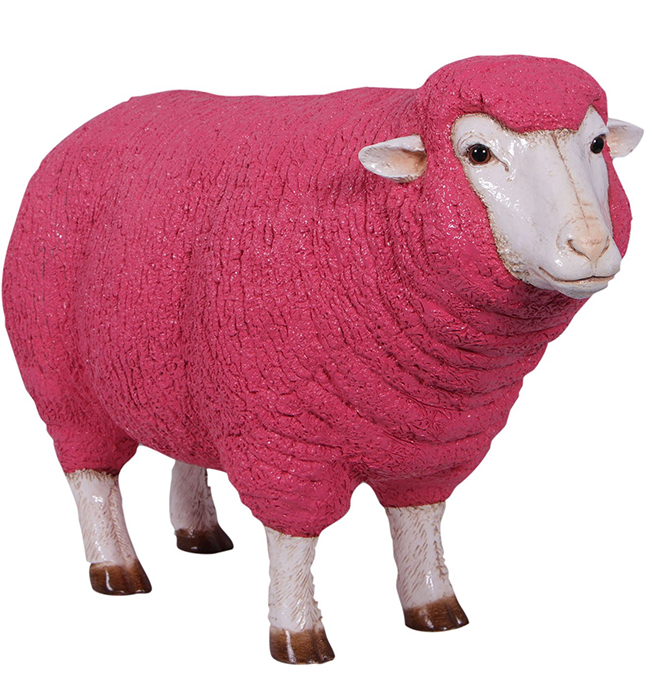 Merino Ewe Head Up Pink
